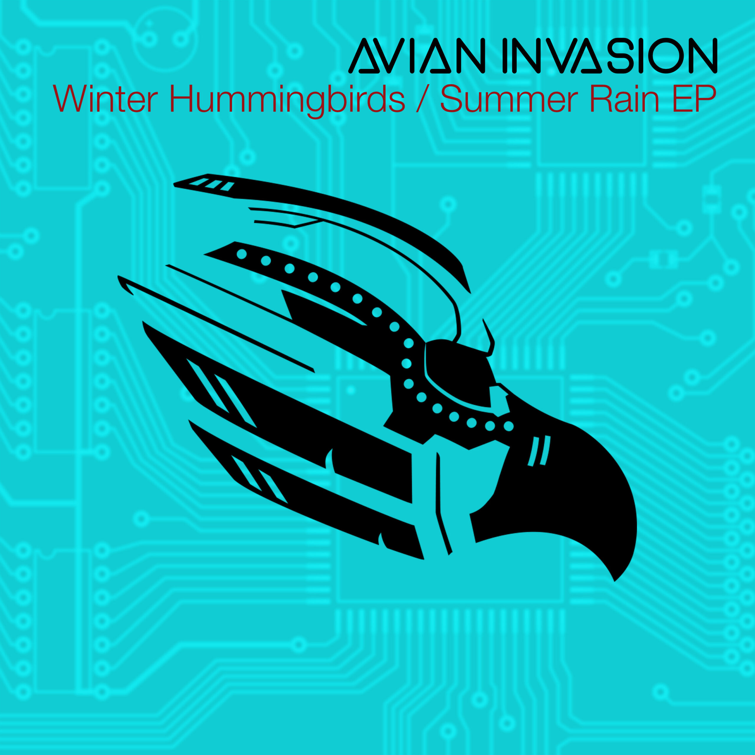 Winter Hummingbirds / Summer Rain EP